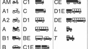 EU Driving License